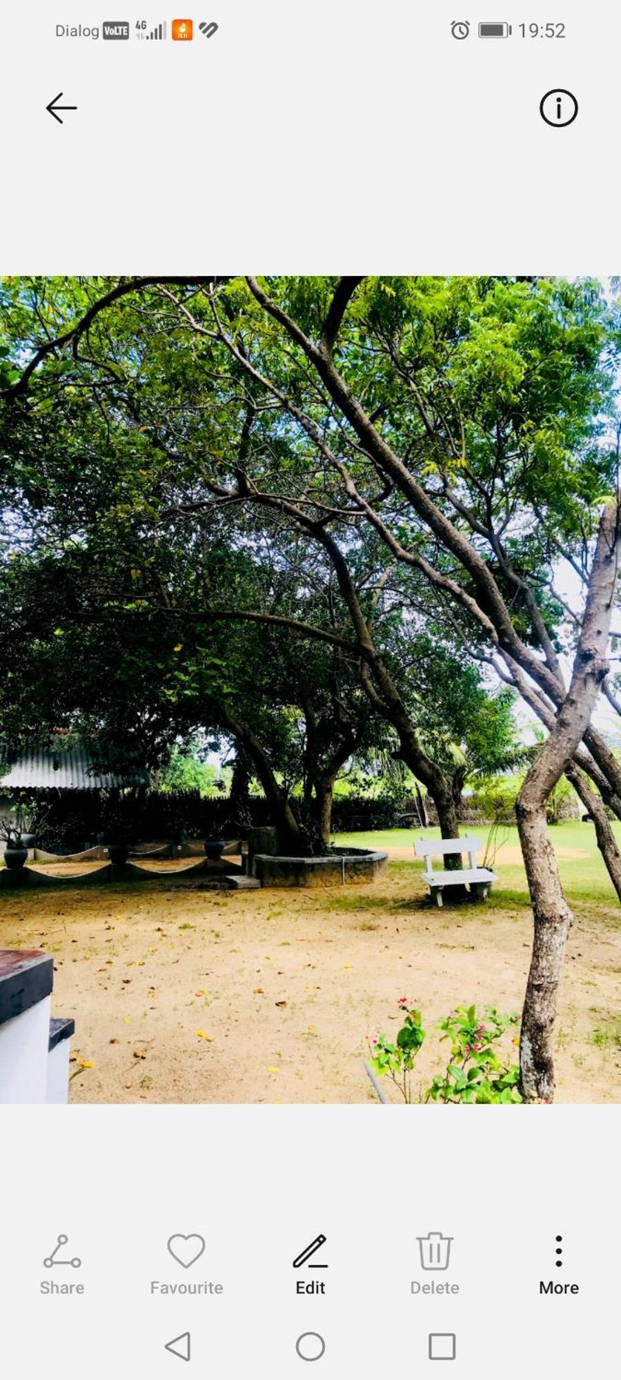 Werala Beach Resort Kalpitiya Eksteriør bilde