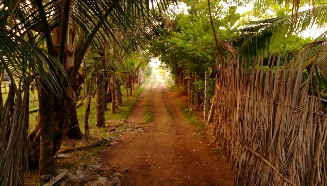 Werala Beach Resort Kalpitiya Eksteriør bilde
